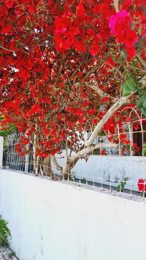 Arrabida Cozy House Βίλα Palmela Εξωτερικό φωτογραφία